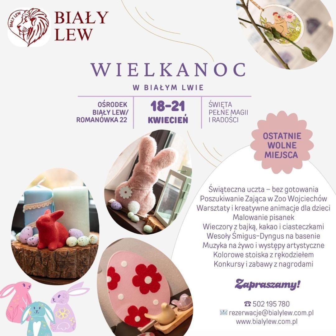 Osrodek Bialy Lew Panzió Wojciechow Kültér fotó